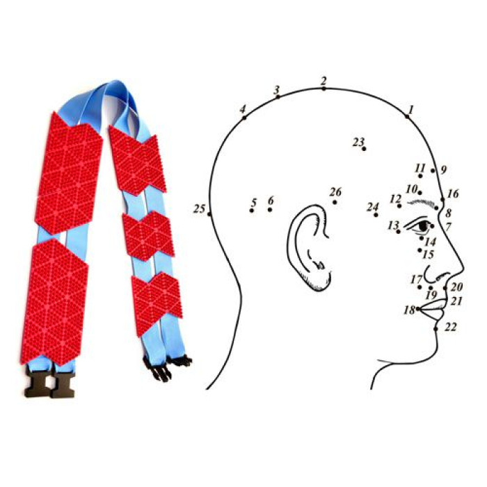 Устройство аппликационное, плоское Ляпко пояс "Универсальный М" 4,3 Ag