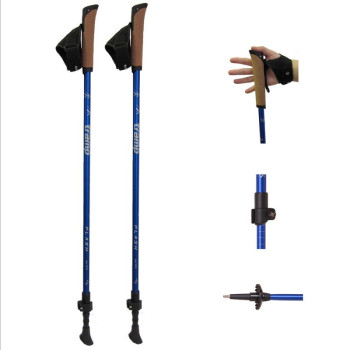 Палки для скандинавської ходьби Tramp Flash