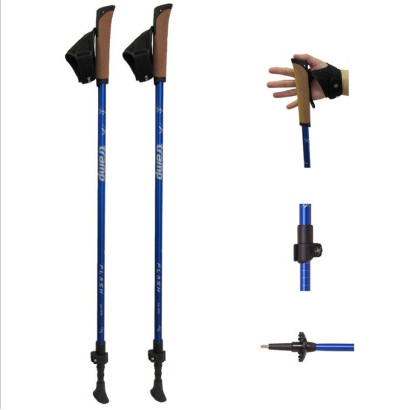 Палки для скандинавской ходьбы Tramp Flash