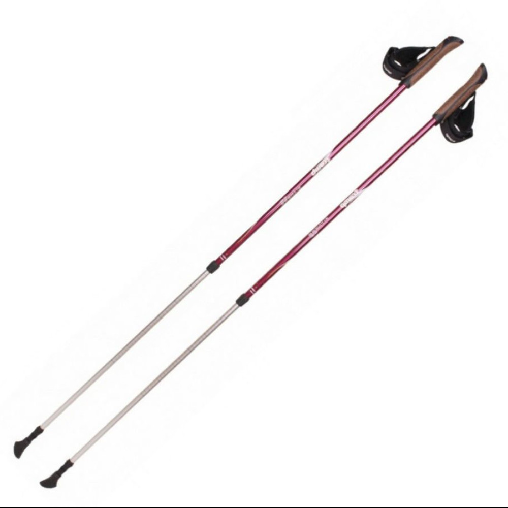 Палки для скандинавской ходьбы Tramp Fitness