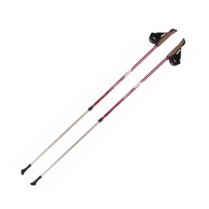 Палки для скандинавской ходьбы Tramp Fitness