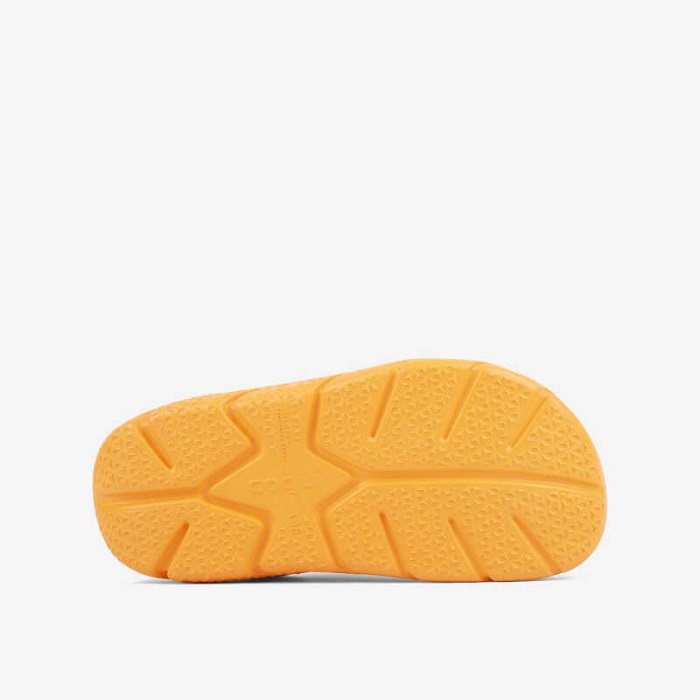 Сабо (крокси) COQUI жіночі CODY (6432 POWDER PINK/ORANGE ) рожевий/помаранчевий ДОСТУПНИЙ ЛИШЕ САМОВИВІЗ